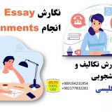 نگارش Essay انجام Assignments